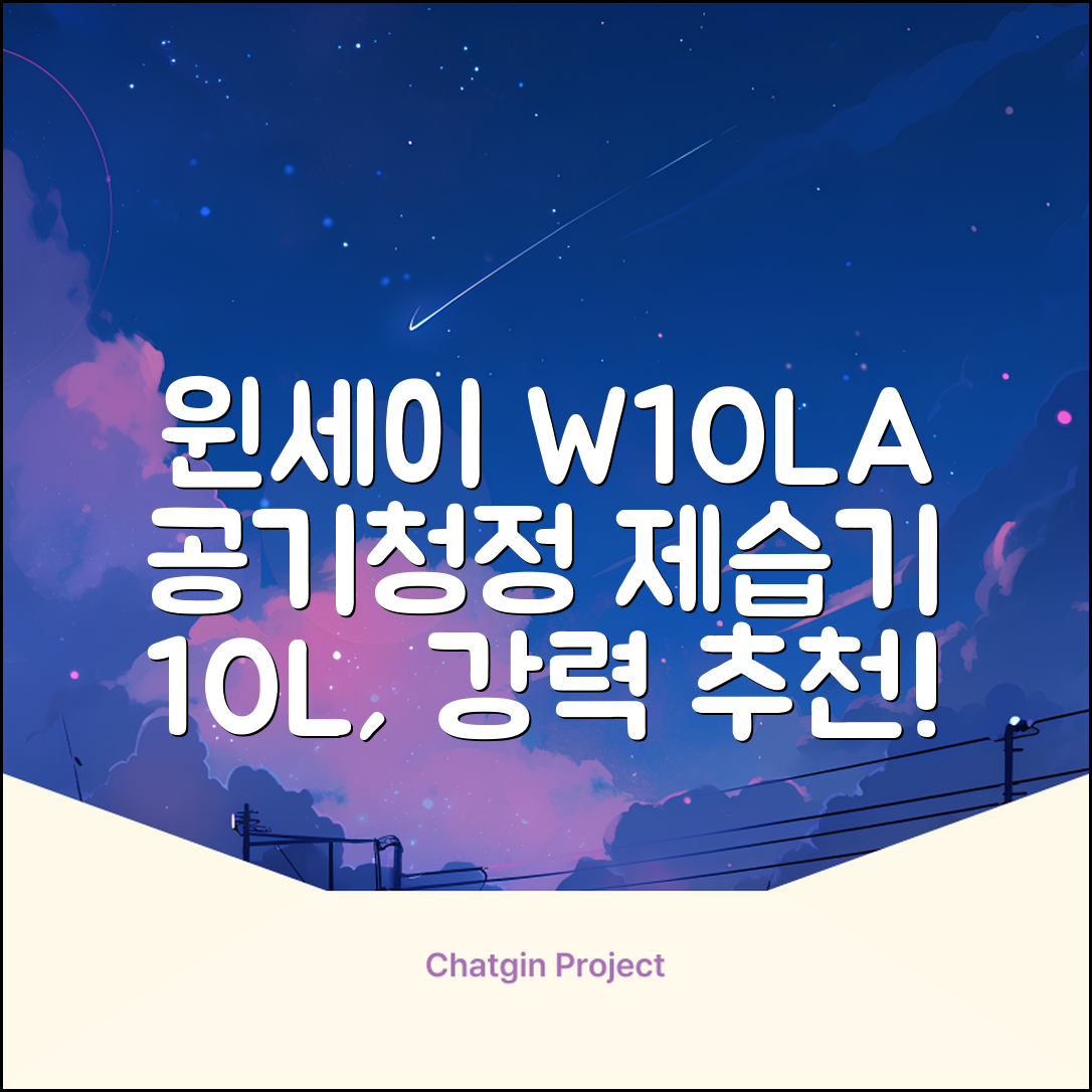윈세이 인버터 방하나 공기청정 제습기 10L W10LA 추천 리뷰