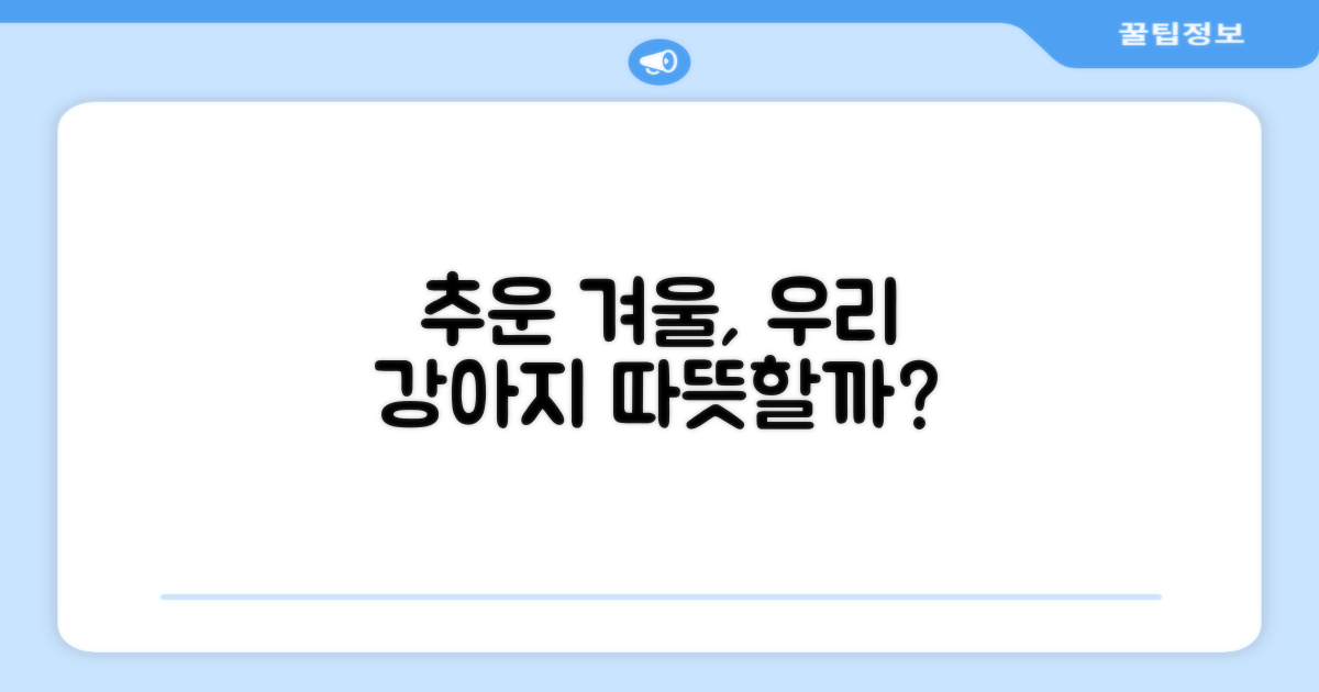 추운 겨울, 우리 강아지도 따뜻할까?