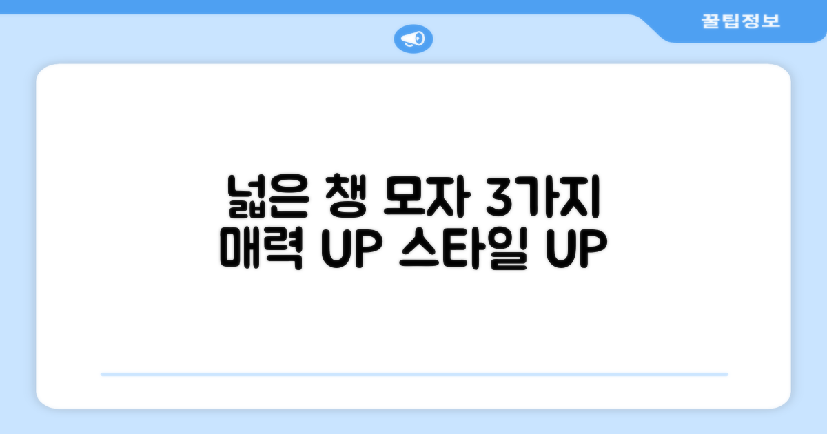 3가지 넓은 챙의 매력