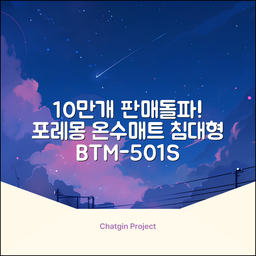 [10만개 판매돌파] 포레몽 온수매트 침대형 BTM-501S, 미니(800x1800mm) 추천 리뷰