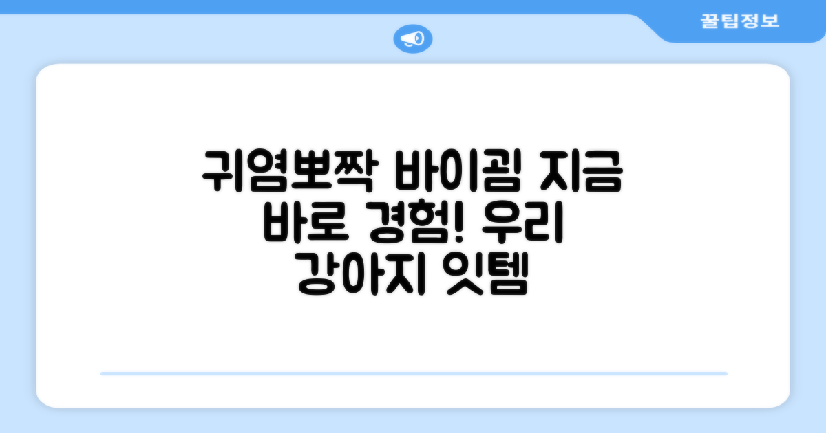 바이굄 강아지 옷, 지금 경험하세요!