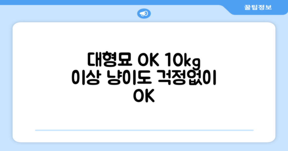 10kg 이상 대형묘 OK