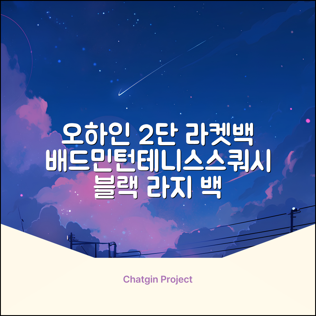 오하인 배드민턴 테니스 스쿼시 2단 대용량 라켓 가방, 블랙, 1개 추천 리뷰