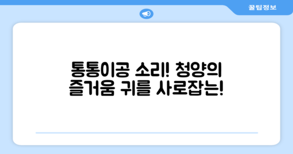 청양 통통이공, 소리가 즐거워요!