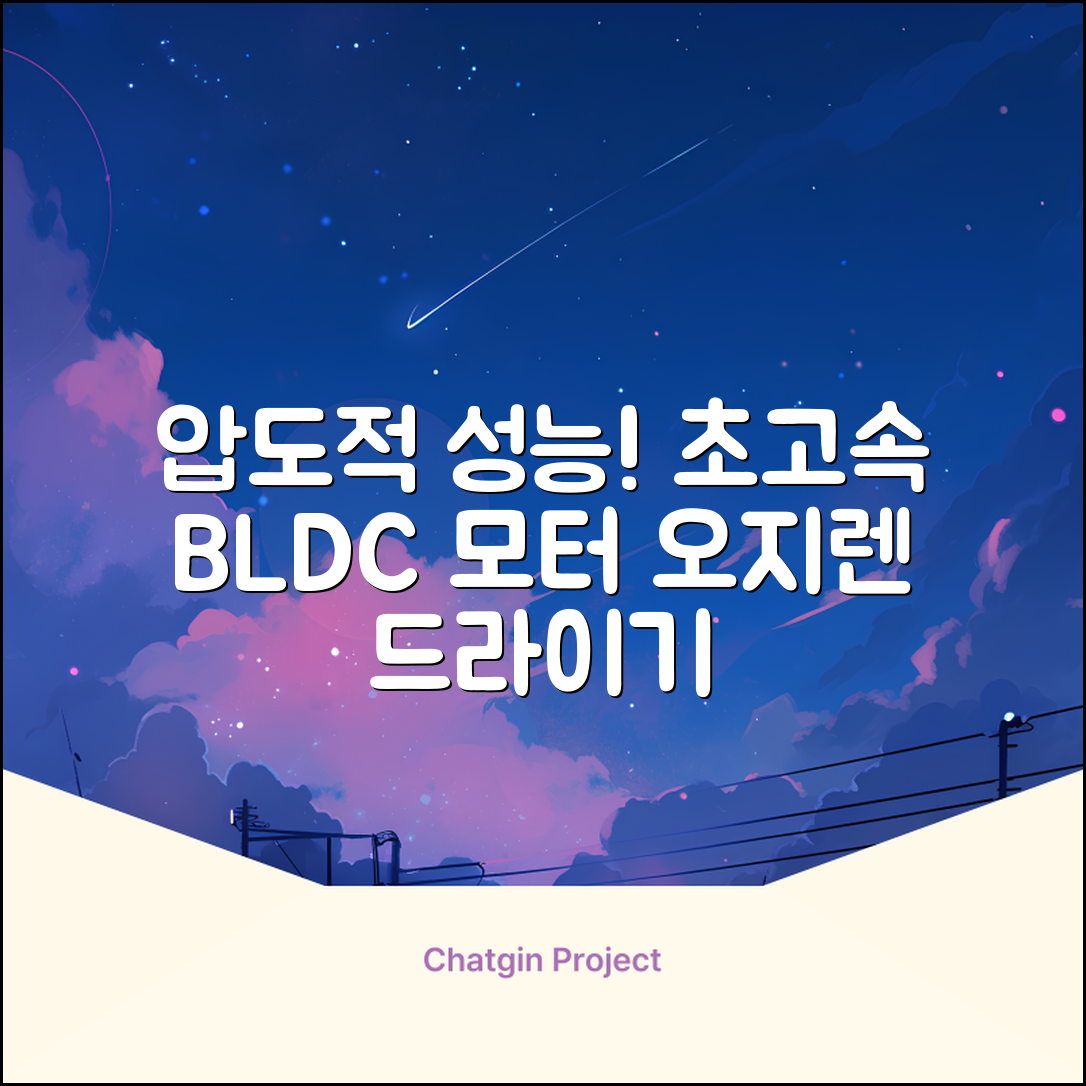 오지렌 초고속 고출력 초경량 음이온 BLDC 모터 헤어 드라이기, 화이트 추천 리뷰