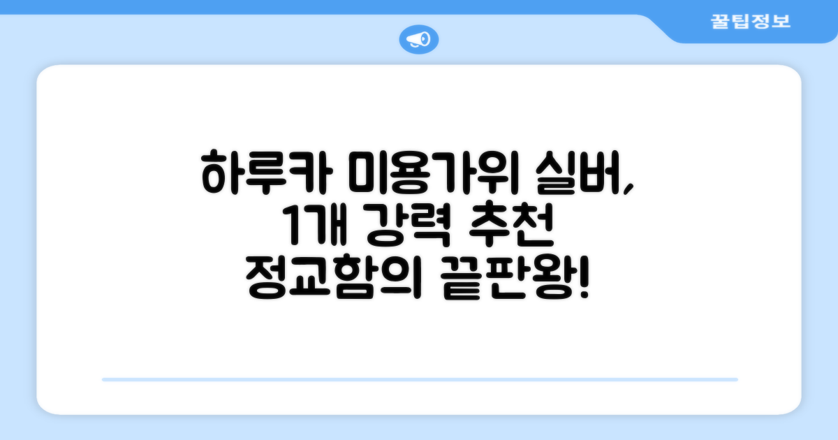 하루카 미용가위 세트, 실버, 1개 추천 리뷰