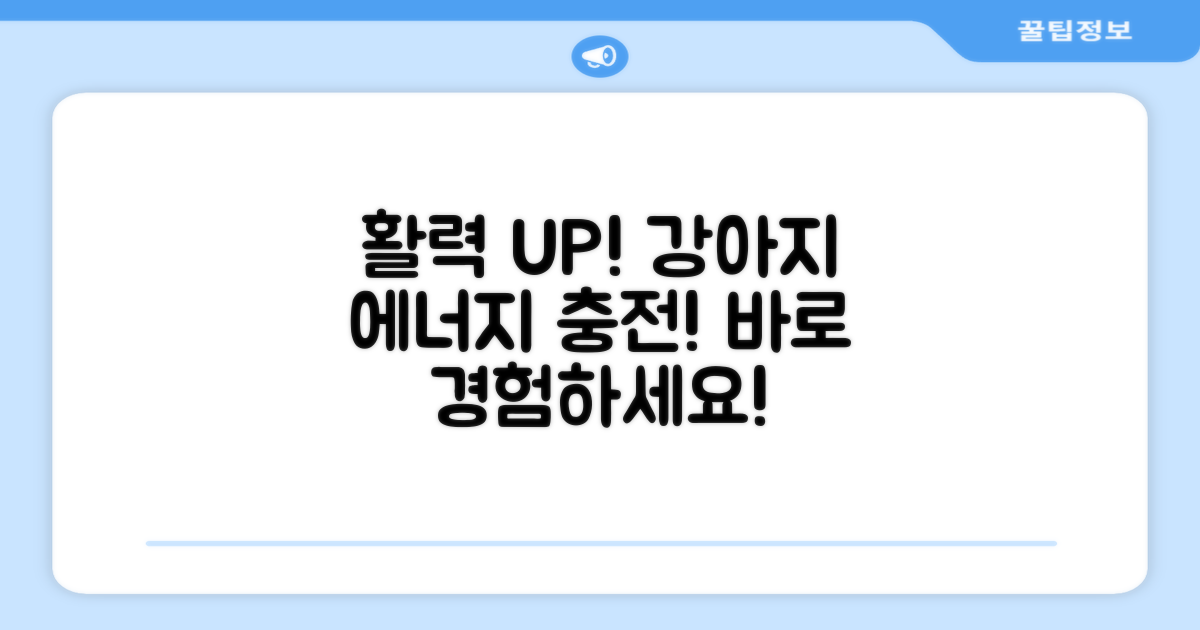 강아지 활력 UP! 바로 경험하세요!