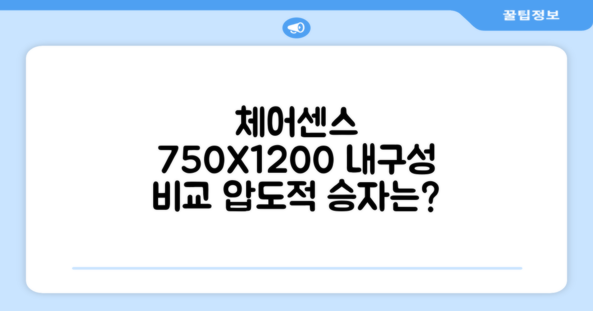체어센스 750X1200: 내구성 비교 분석