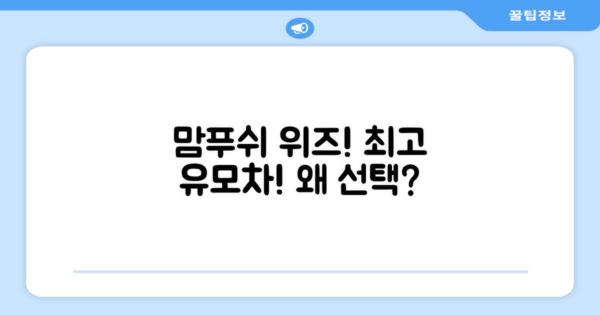 맘푸쉬 위즈 유모차, 왜 선택해야 할까요?