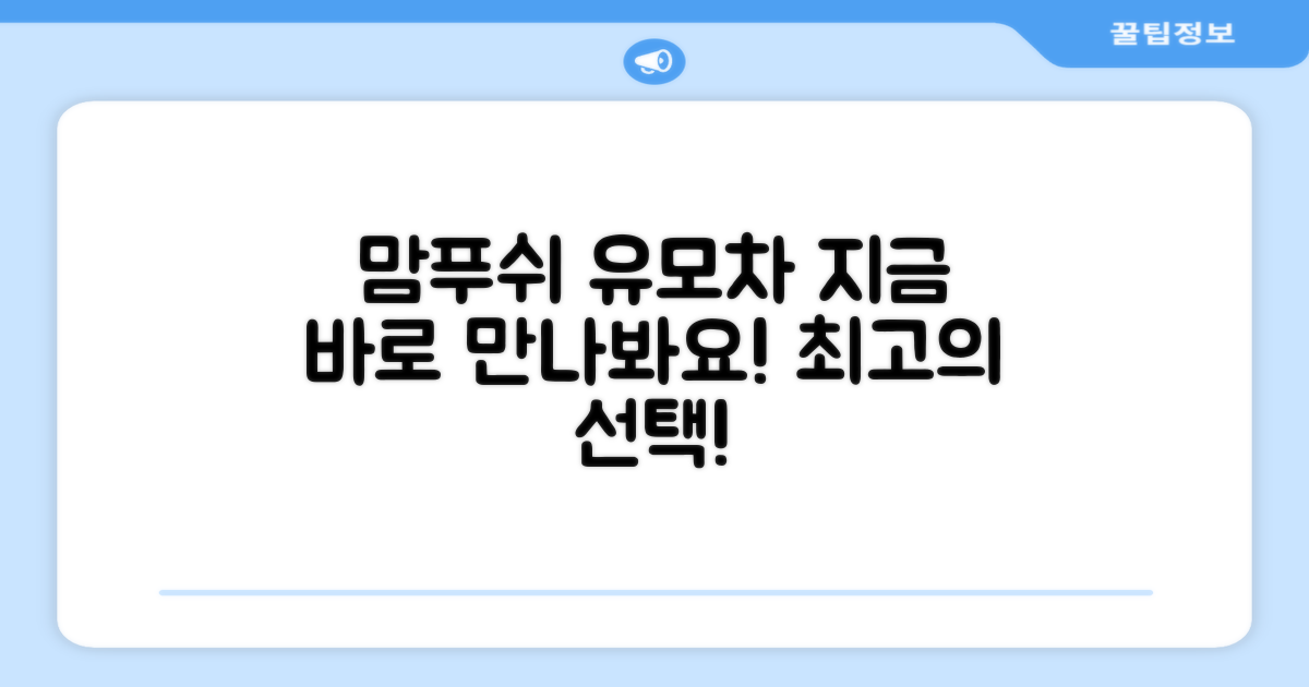 지금 바로 맘푸쉬 유모차 만나보세요