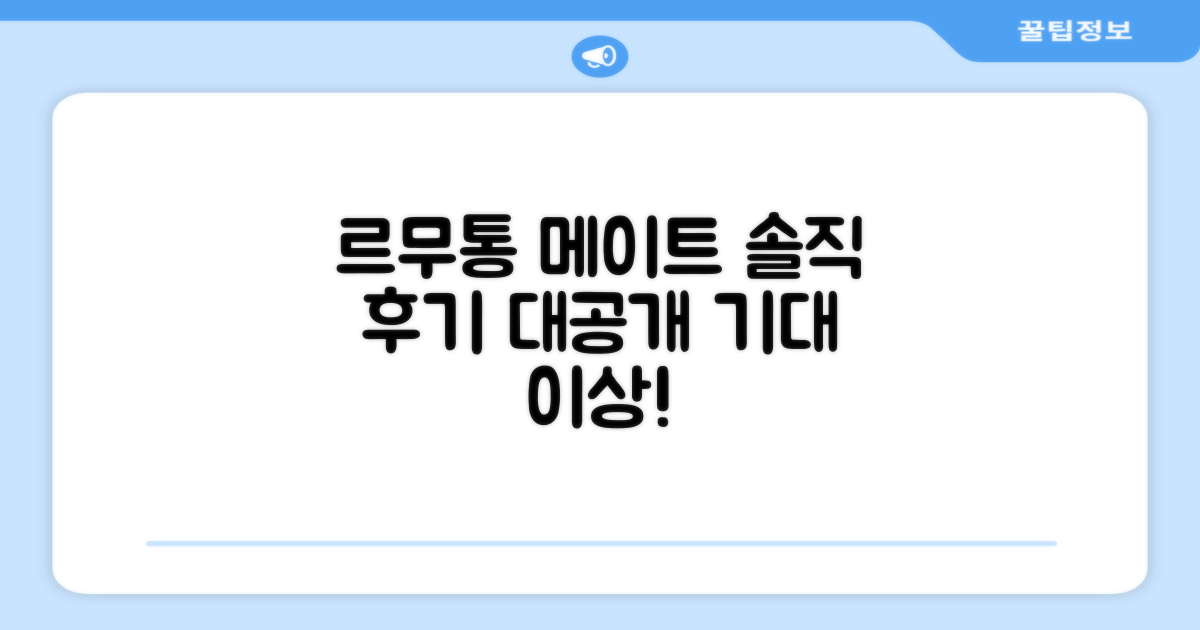 르무통 메이트, 후기 솔직히!