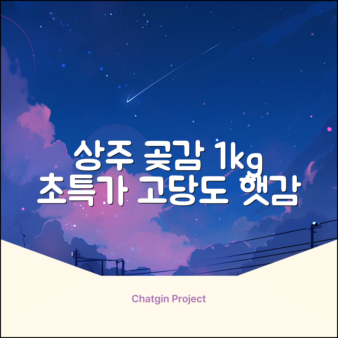 상주 곶감 초특가 1kg 고당도 햇감, 1개 추천 리뷰