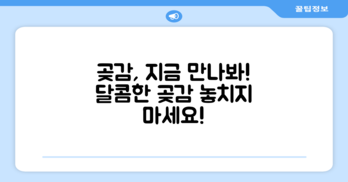 지금 바로 곶감 만나보세요!